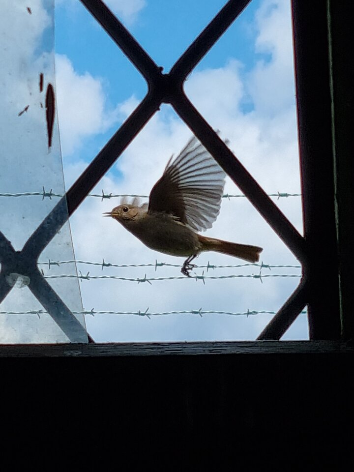 20220602_112928.jpg - ciekawy62