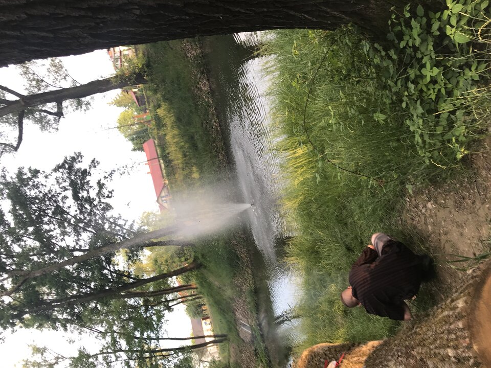 image.jpg - Polska85osw