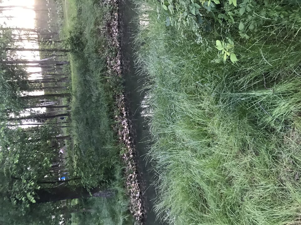 image.jpg - Polska85osw