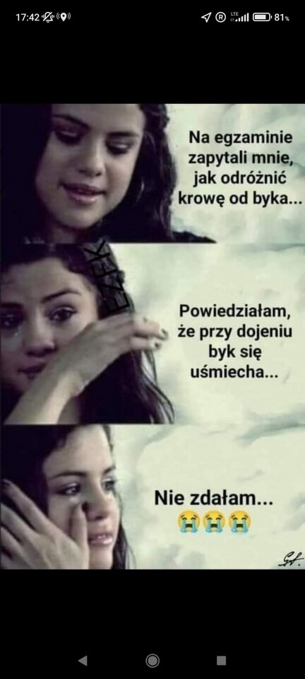 IMG-20220530-WA0004.jpg - martin1004