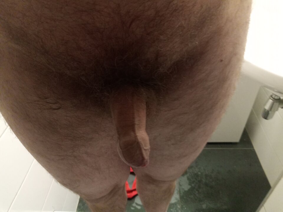 16541997959194920668868621334377.jpg - Krzys2017