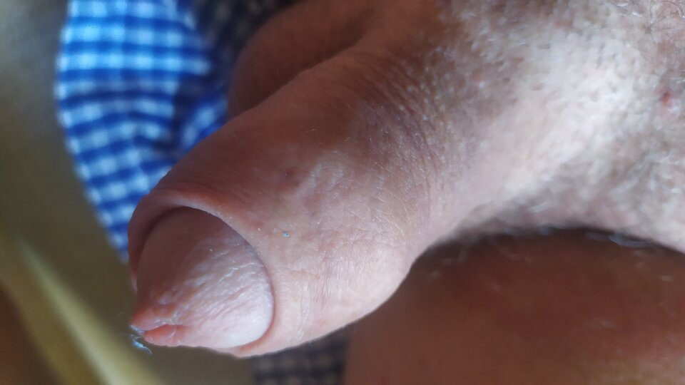 16542373777441938770254406288168.jpg - matuzalem000