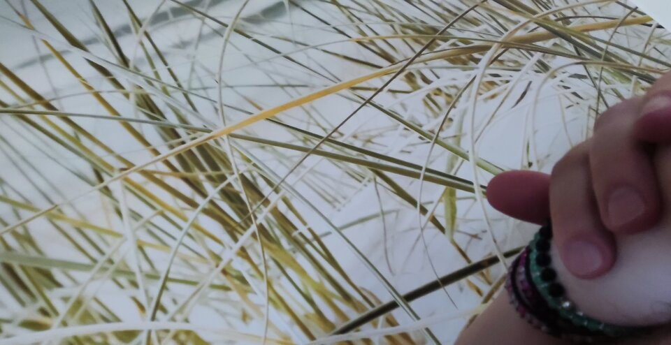 IMG_20220603_085812.jpg - Puch_chatka