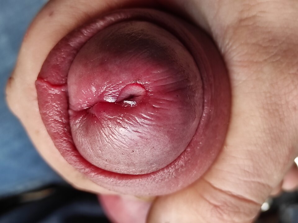 IMG_20220603_121129.jpg - RATCVAC