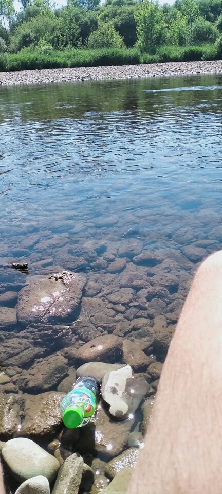 IMG20220603151149.jpg - maniana35