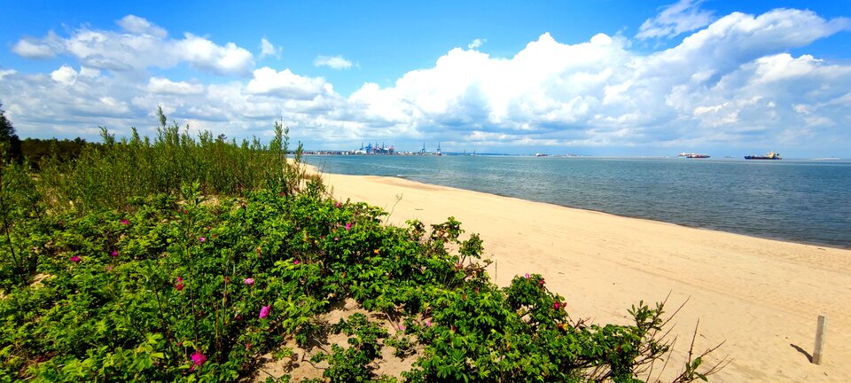 IMG_20220603_201259.jpg - Vamp_is_Back