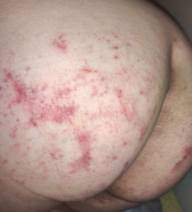messyviv