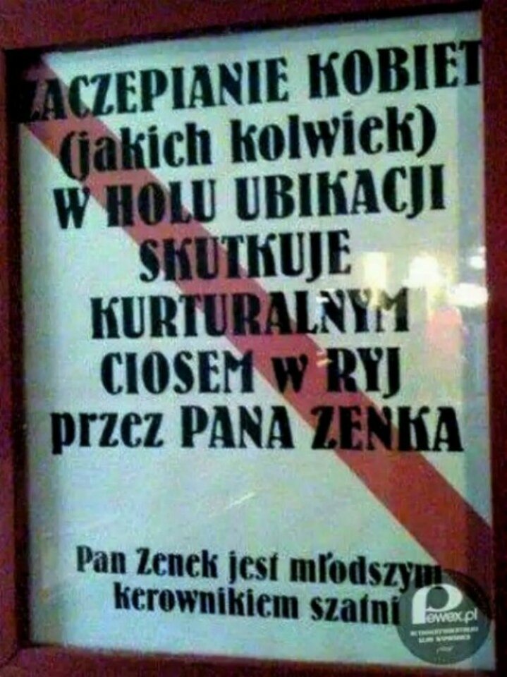 zenek.jpg - bezpruderyjny50