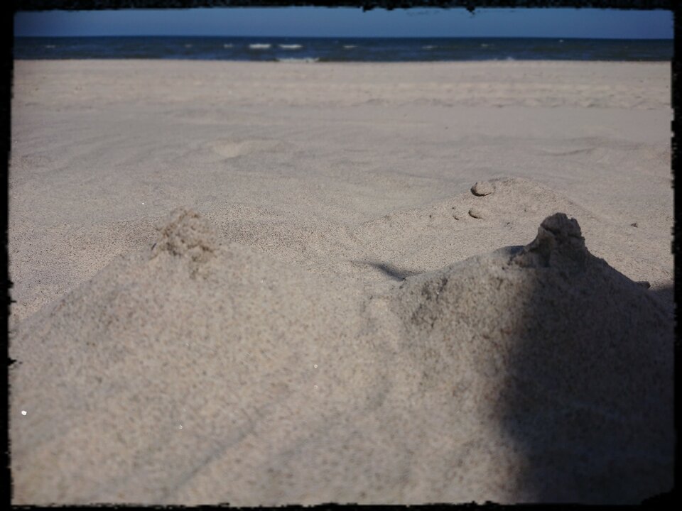 _20220604_131904.JPG - kamelia12330