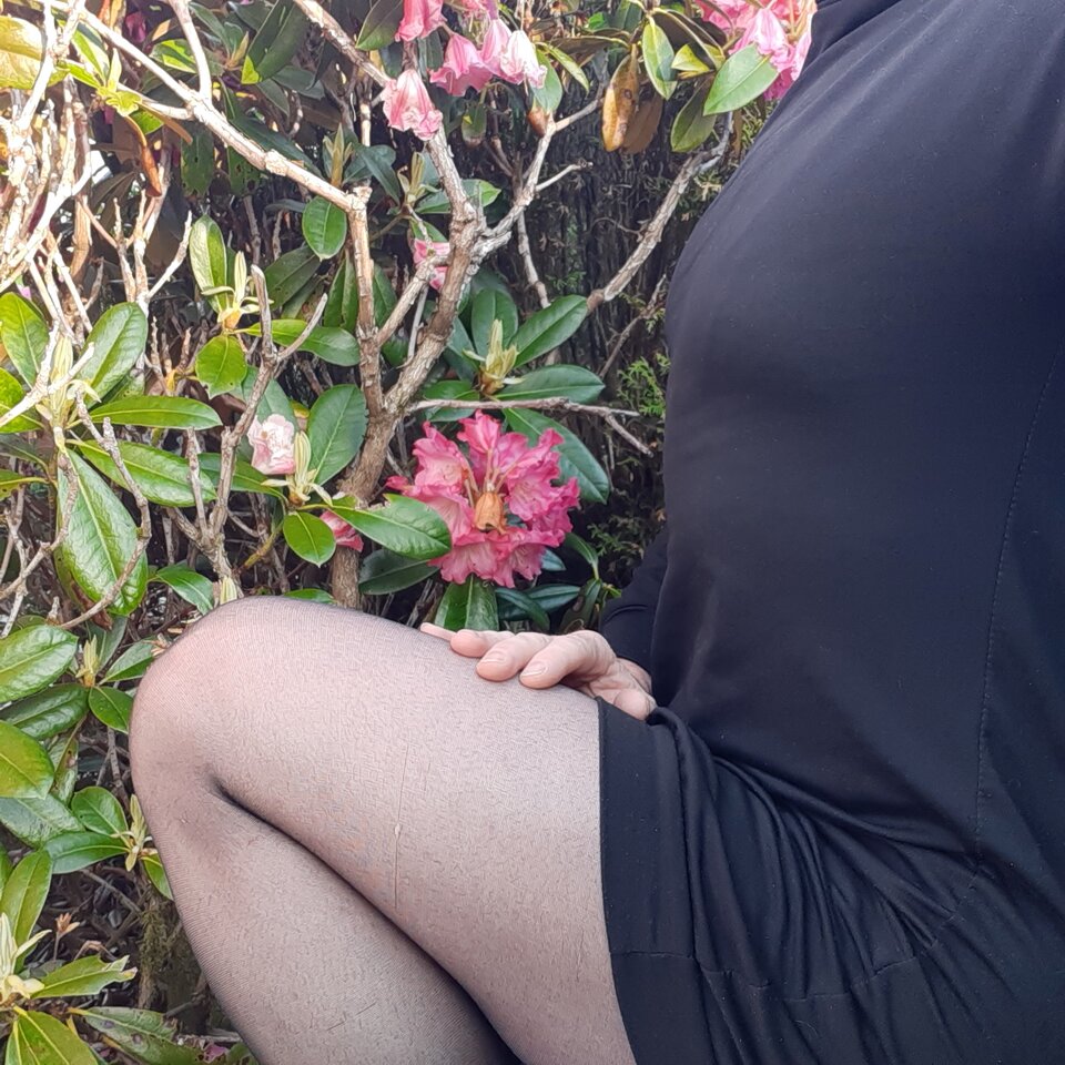 1654360685673767747605341150137.jpg - Palciusia