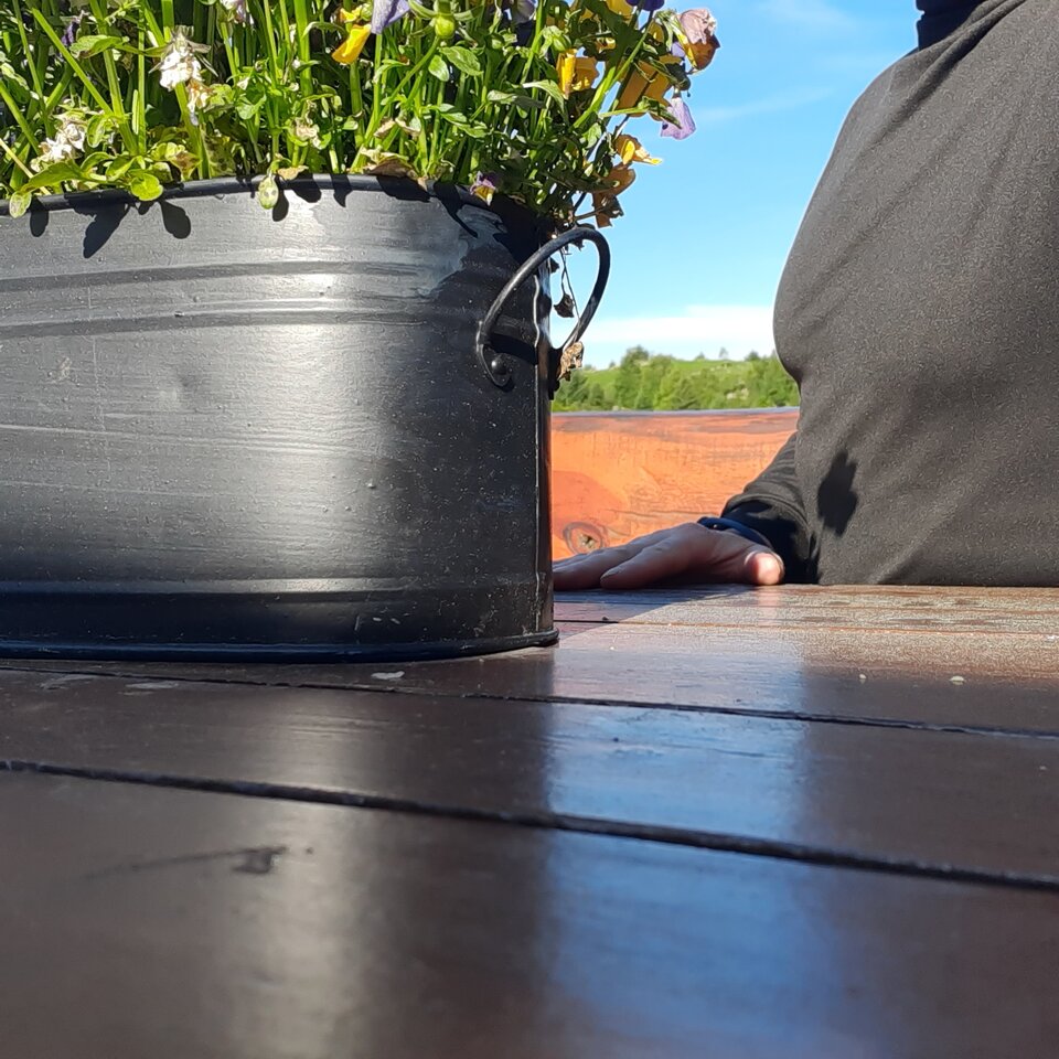 16543607605955440372016295202450.jpg - Palciusia