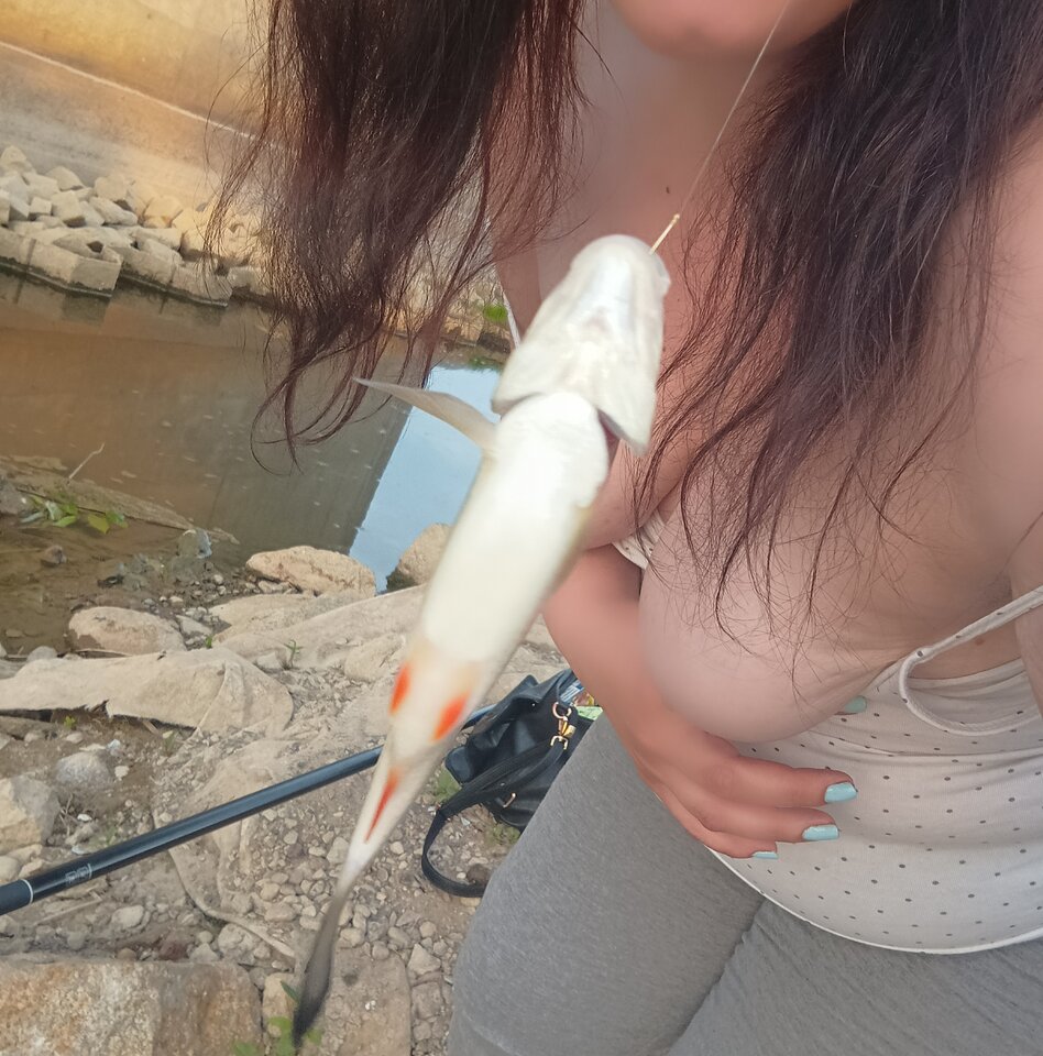 IMG_20220604_200536.jpg - Niunka150990