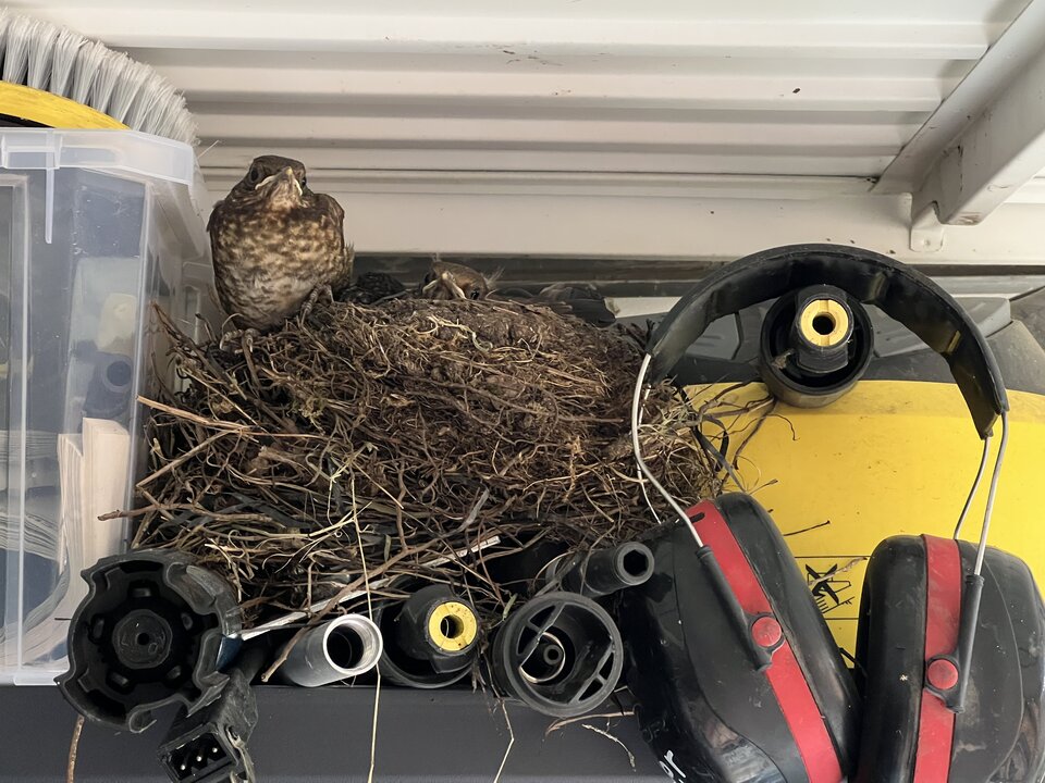 CF1F58C1-4FF4-412C-974B-24626F0118A2.jpeg - nrw670n