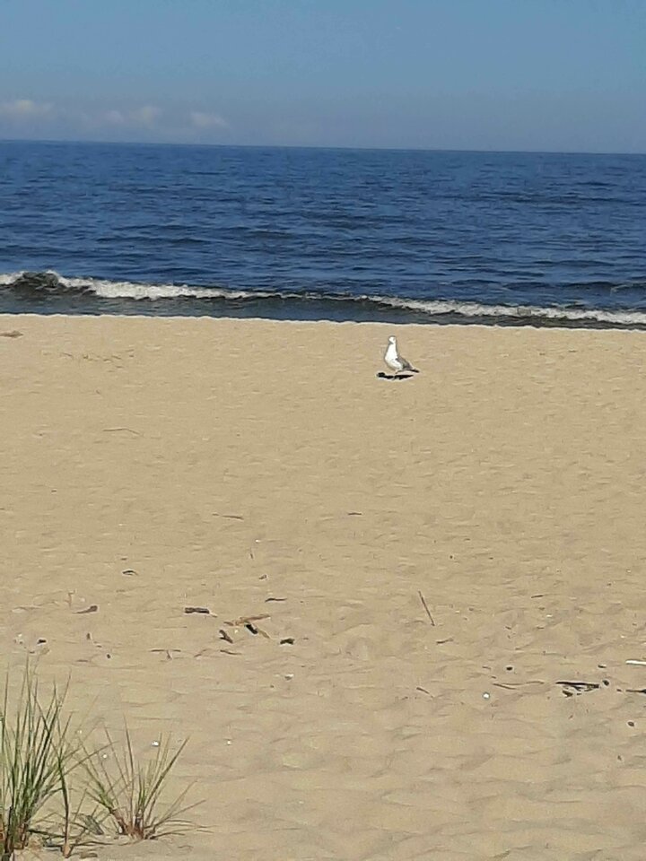 20200812_101714.jpg - ciekawy62