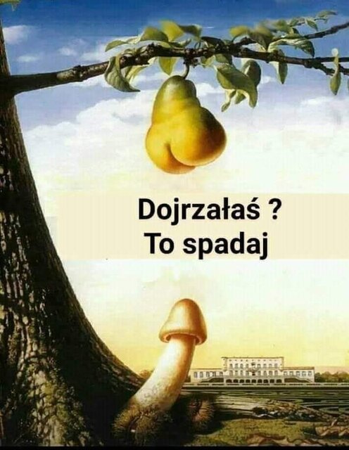 FB_IMG_1549818361683.jpg - Nokia1981