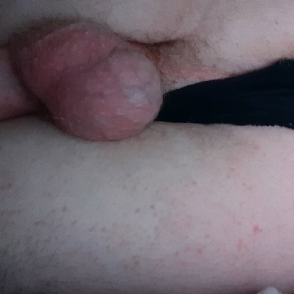 16544062459075695508646369958972.jpg - Palciusia