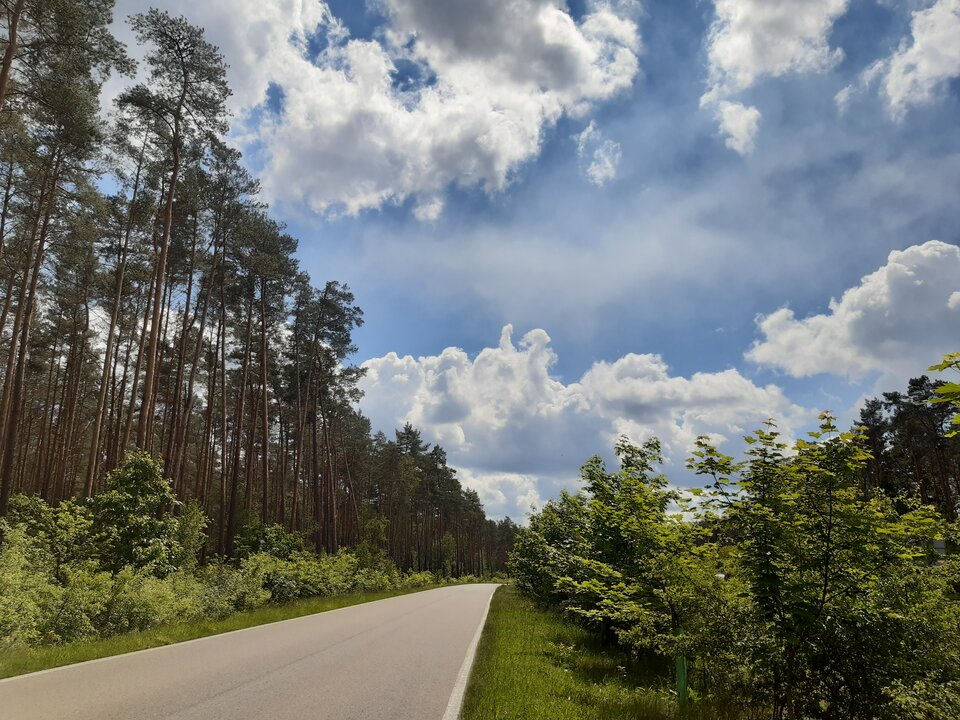 20220602_124541.jpg - torii99