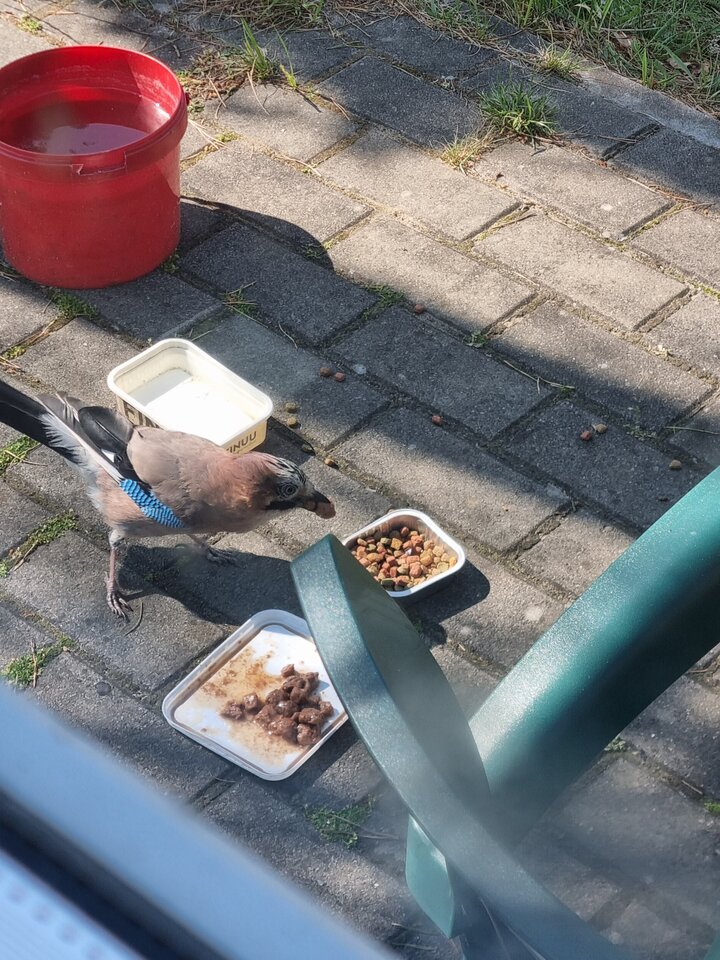 20220605_100050.jpg - ciekawy62