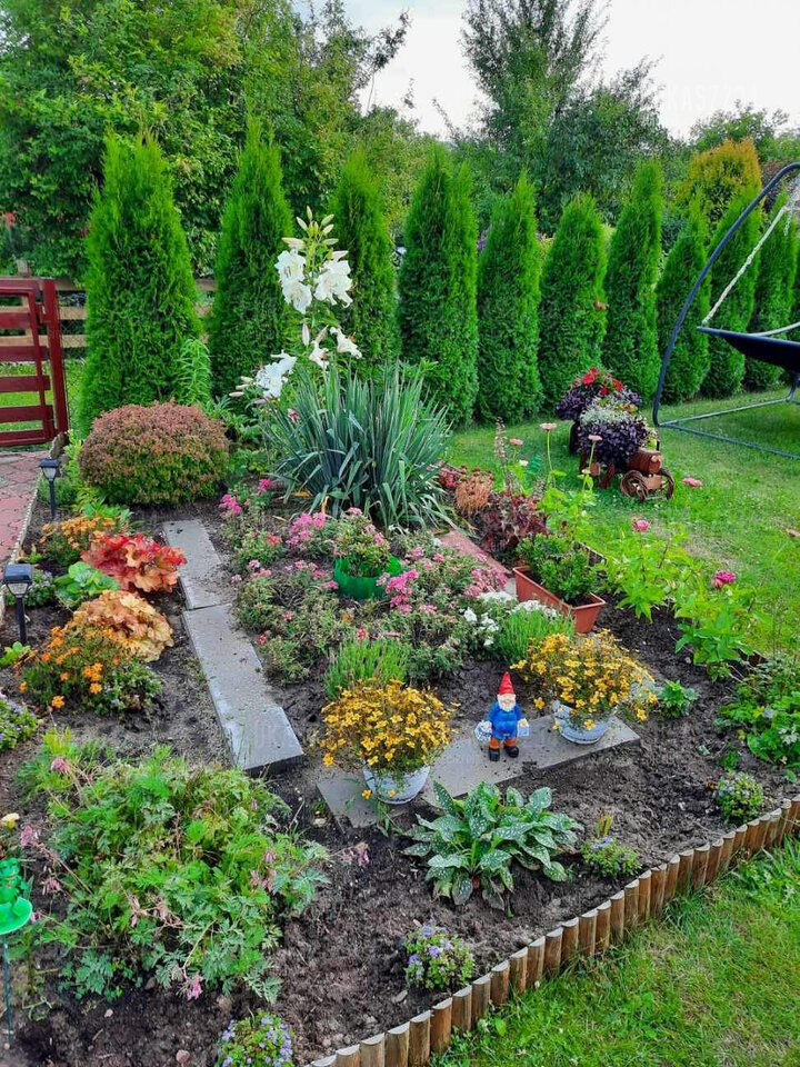 IMG_20220604_211916.jpg - lukasz234