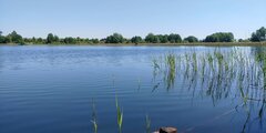 2022-06-05_12.59.27.jpg