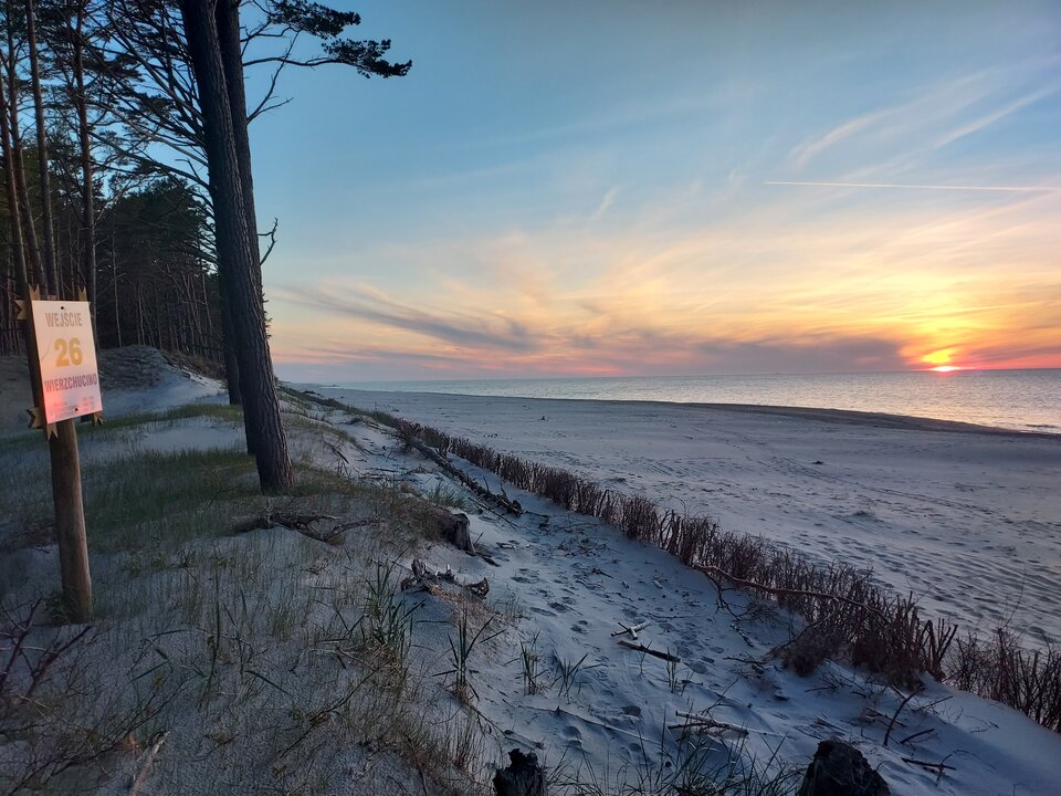 20220605_211549.jpg - Reksiki