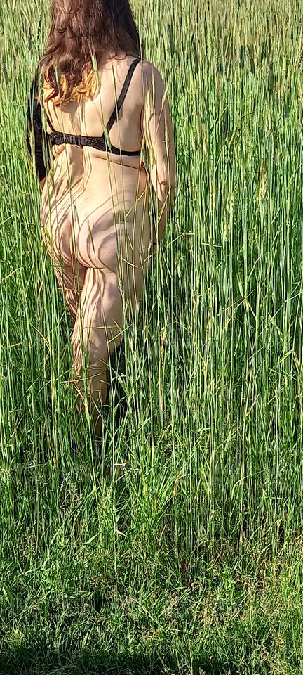 20220605_171132.jpg - vitek3