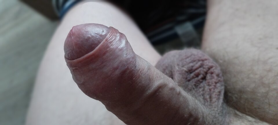 IMG_20220606_151733.jpg - misiekkk1980