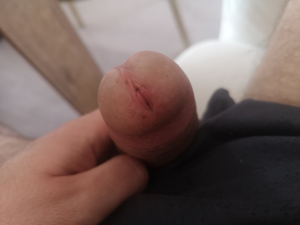 16545340381311818751489654363204.jpg - Gogomonter