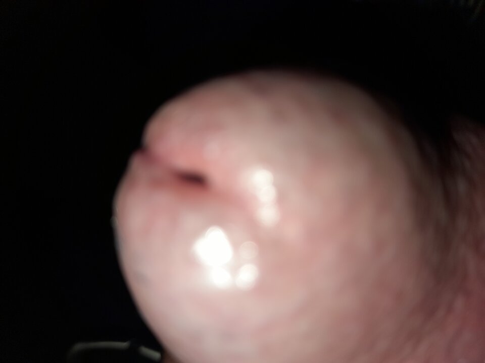 20220606_191021.jpg - Szmaciorzhaderlok