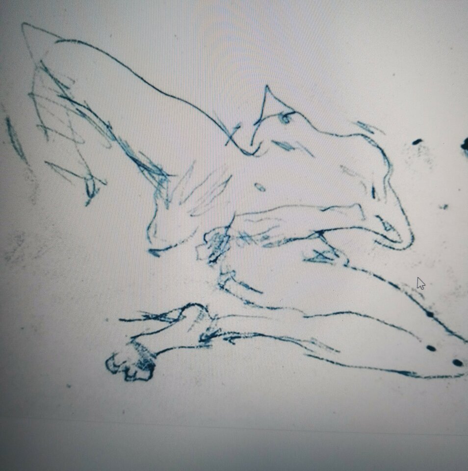 20220607_143347~3.jpg - InkaIna