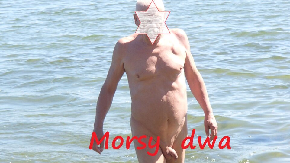 Zbiornik 1697 - Morsy_dwa