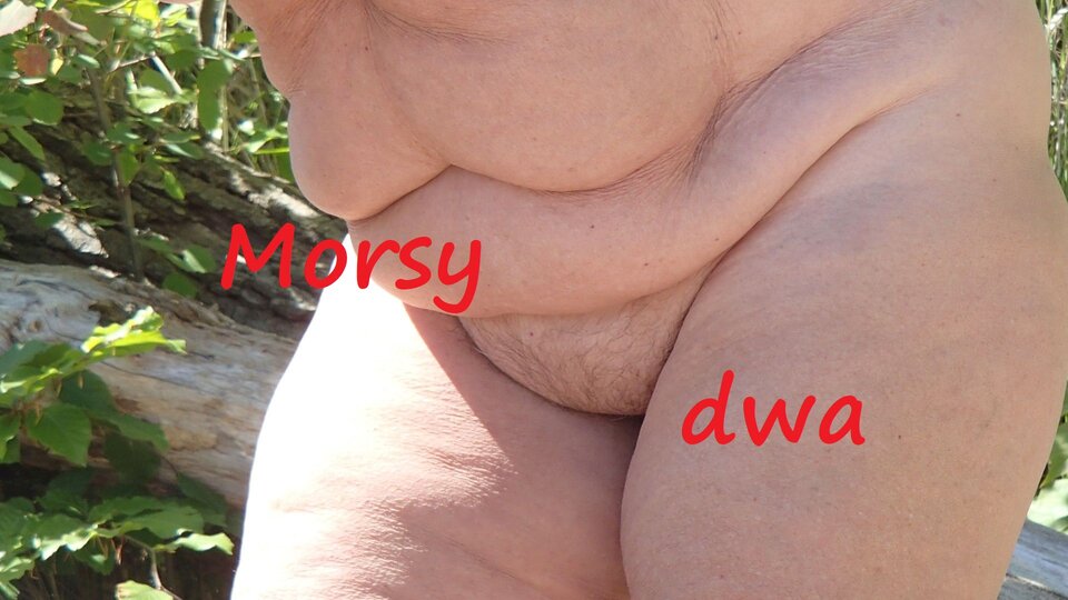 Zbiornik 1688 - Morsy_dwa