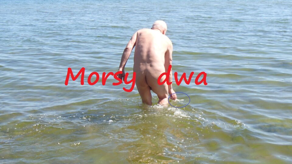 Zbiornik 1696 - Morsy_dwa