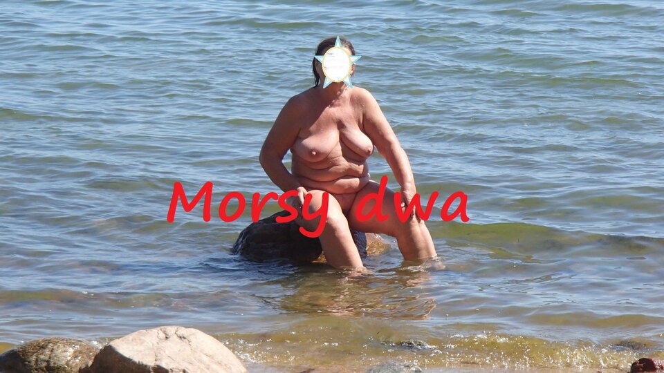 Zbiornik 1694 - Morsy_dwa