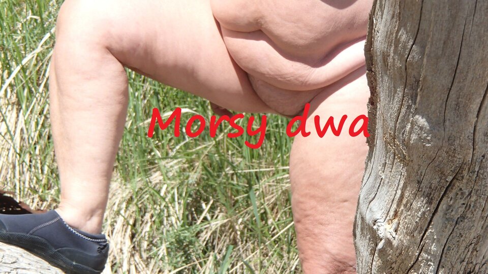 Zbiornik 1692 - Morsy_dwa