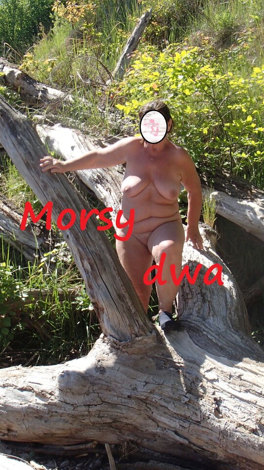 Zbiornik 1686 - Morsy_dwa