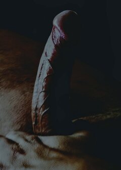 Lody 🍦 lody 🍦... Komu lody 🍦