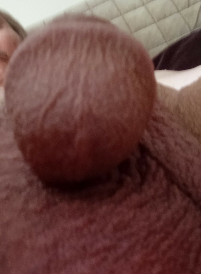 IMG_20220608_061520~2.jpg - 19Grzegorz55