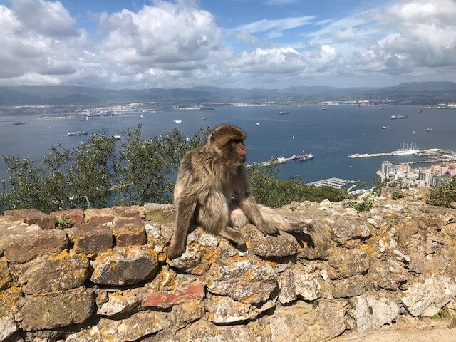 IMG_2737.jpg - man55