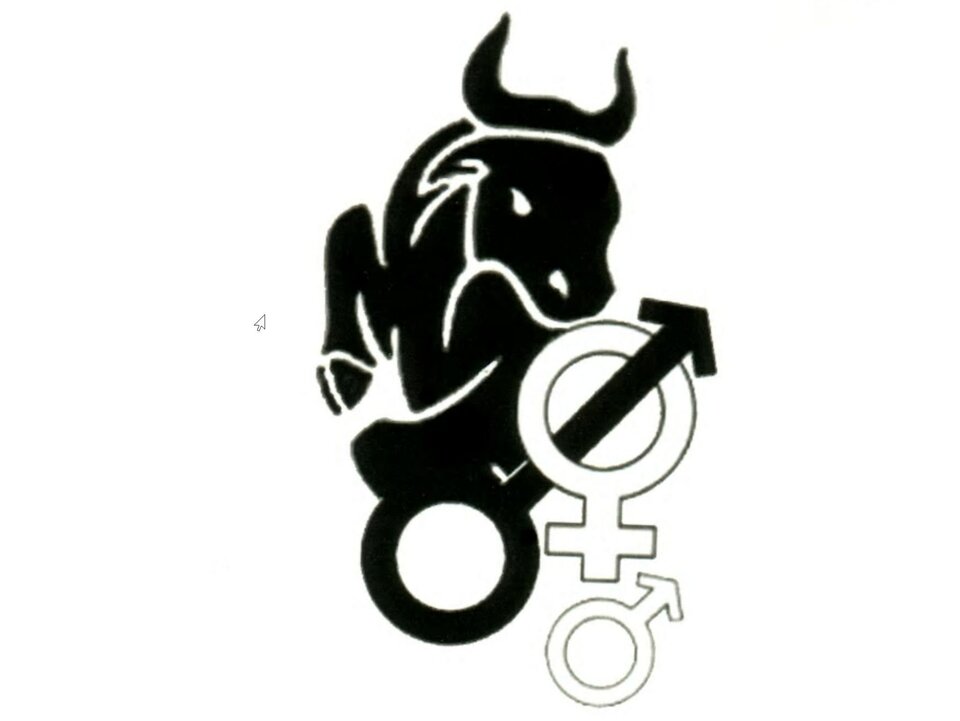 il_fullxfull.2202499078_h74h.jpg - Bull_Master