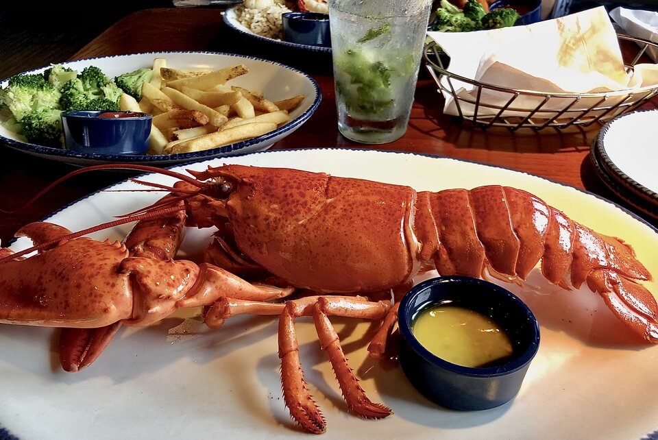 Lobster + Mojito = Red Lobster! - milFuria