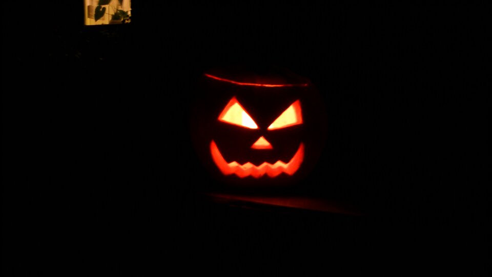 DSC_0108.jpg - misiekkk1980