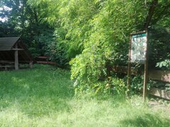 IMG_20220609_094723.jpg