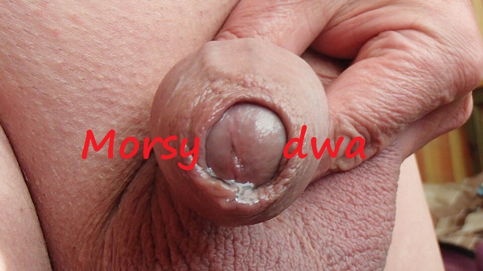 Zbiornik 1714 - Morsy_dwa