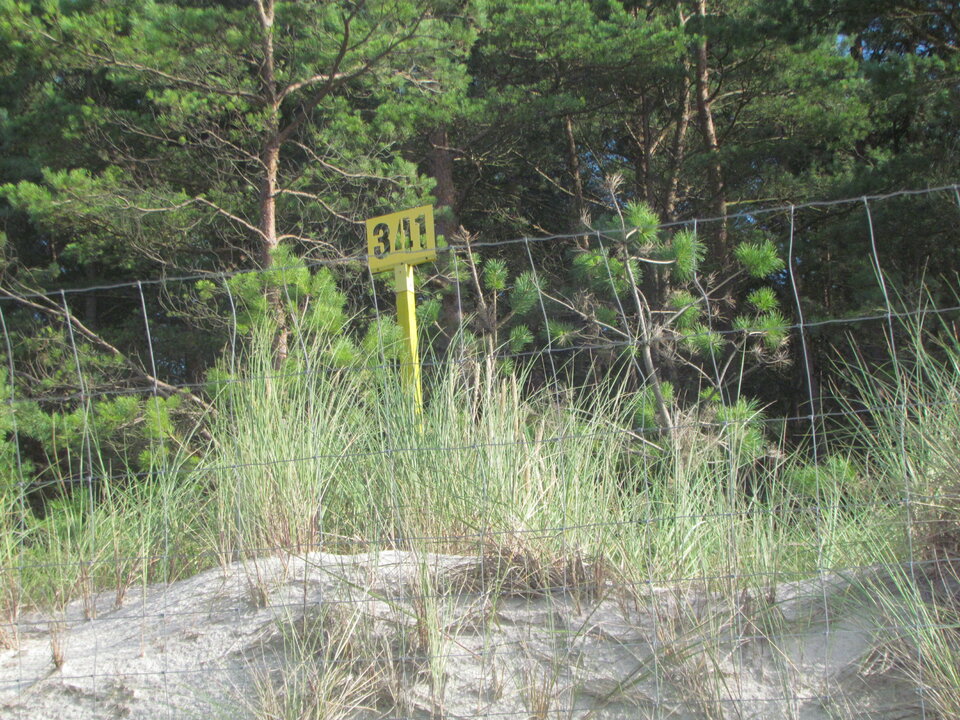 IMG_6930.JPG - ParkaRazem5