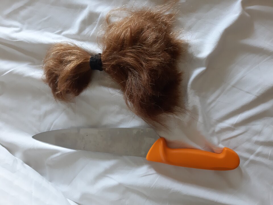 20220611_093126.jpg - 827KW