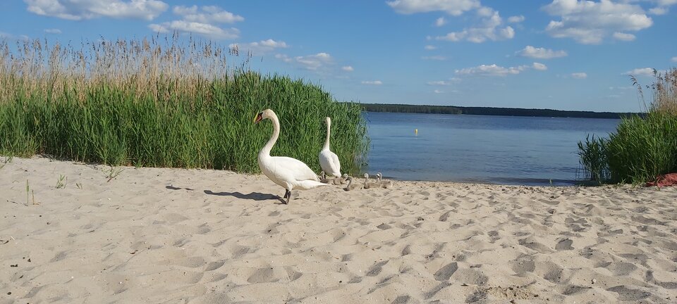 Tacy goście - J_Sully