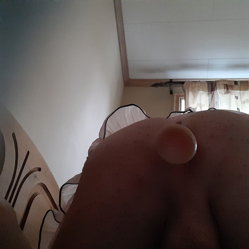 16549720954116590042731668332486.jpg - Palciusia