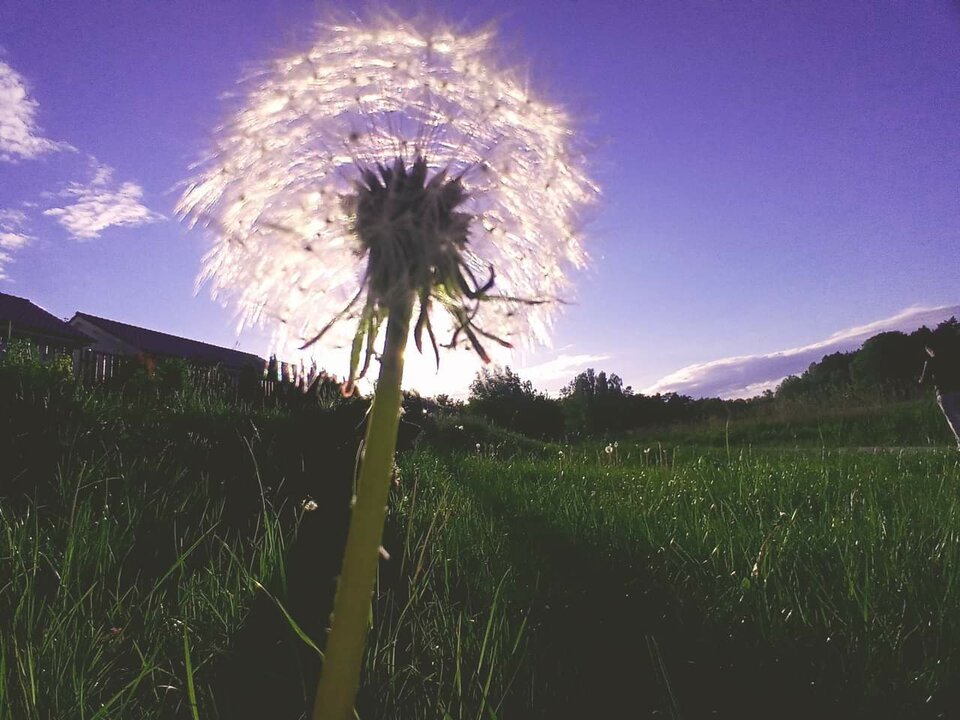 49efb5e987c14481ae247f9d61beb08a.0.jpg - Ina69