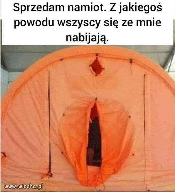 FB_IMG_1655005254945.jpg - Zniszczonyon